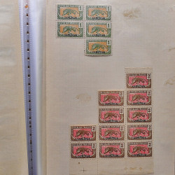 Lot de timbres d'anciennes colonies françaises neufs et oblitérés.