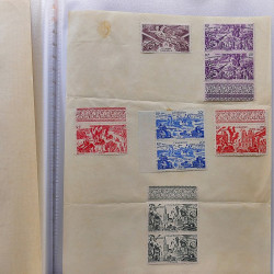 Lot de timbres d'anciennes colonies françaises neufs et oblitérés.