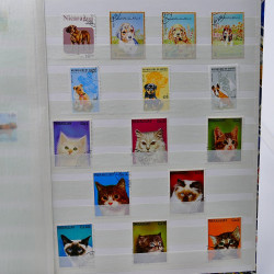 Vrac philatélique de timbres du monde neufs et oblitérés en un carton.