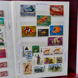Vrac philatélique de timbres du monde neufs et oblitérés en un carton.