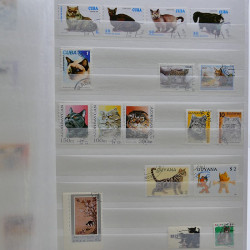 Vrac philatélique de timbres du monde neufs et oblitérés en un carton.
