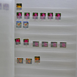 Vrac philatélique de timbres du monde neufs et oblitérés en un carton.