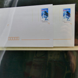 Collection entiers postaux de France 2004-2005 en album Lindner.