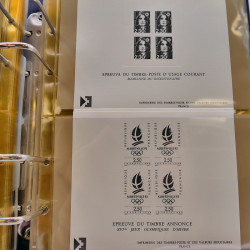 Lot d'entiers postaux et PAP de France en un album.