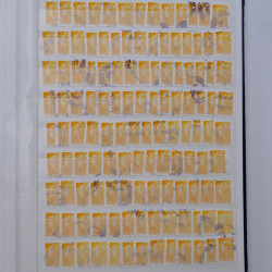 Lot massif de timbres de France et Europe neufs et oblitérés en 9 albums.