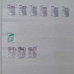 Lot massif de timbres de France et Europe neufs et oblitérés en 9 albums.