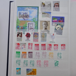 Lot massif de timbres de France et Europe neufs et oblitérés en 9 albums.