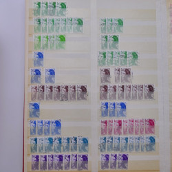 Lot massif de timbres de France et Europe neufs et oblitérés en 9 albums.
