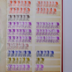 Lot massif de timbres de France et Europe neufs et oblitérés en 9 albums.
