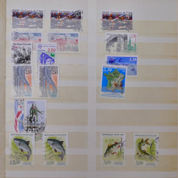 Lot massif de timbres de France et Europe neufs et oblitérés en 9 albums.