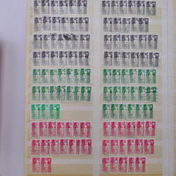 Lot massif de timbres de France et Europe neufs et oblitérés en 9 albums.