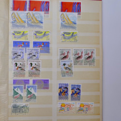 Lot massif de timbres de France et Europe neufs et oblitérés en 9 albums.