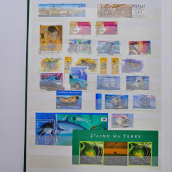 Lot massif de timbres de France et Europe neufs et oblitérés en 9 albums.