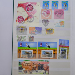 Lot massif de timbres de France et Europe neufs et oblitérés en 9 albums.