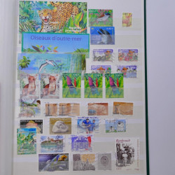 Lot massif de timbres de France et Europe neufs et oblitérés en 9 albums.