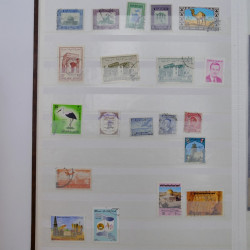 Lot massif de timbres de France et Europe neufs et oblitérés en 9 albums.