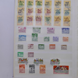 Lot massif de timbres de France et Europe neufs et oblitérés en 9 albums.