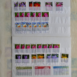 Lot massif de timbres de France et Europe neufs et oblitérés en 9 albums.