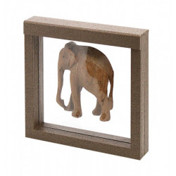 Cadre Nimbus 150 design bois pour objets de collections.