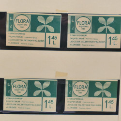 Collection timbres d'Albanie neufs** en double 1982-1999 en 4 albums.