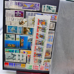 Lot massif de timbres de France oblitérés en 12 albums.