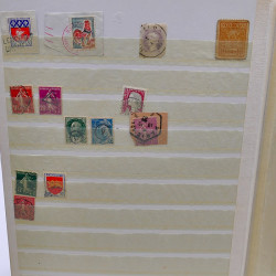 Lot massif de timbres de France oblitérés en 12 albums.