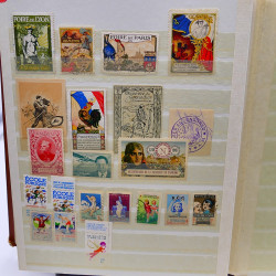 Lot massif de timbres de France oblitérés en 12 albums.