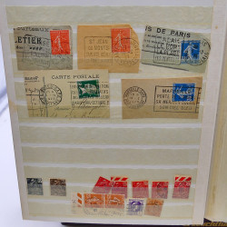Lot massif de timbres de France oblitérés en 12 albums.