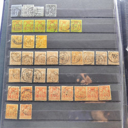 Lot massif de timbres de France oblitérés en 12 albums.