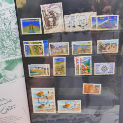 Lot massif de timbres de France oblitérés en 12 albums.