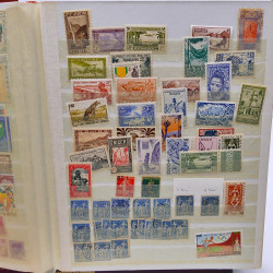 Lot massif de timbres de France oblitérés en 12 albums.