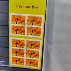 Lot massif de timbres de France oblitérés en 12 albums.