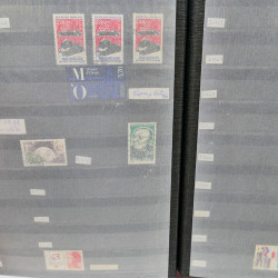Lot massif de timbres de France oblitérés en 12 albums.