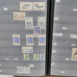 Lot massif de timbres de France oblitérés en 12 albums.