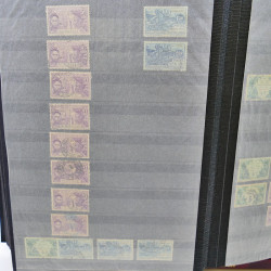 Lot massif de timbres de France oblitérés en 12 albums.