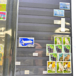 Lot massif de timbres de France oblitérés en 12 albums.
