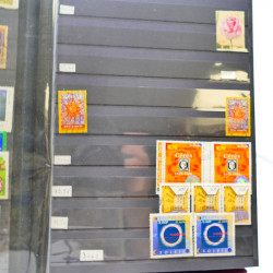 Lot massif de timbres de France oblitérés en 12 albums.