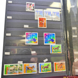 Lot massif de timbres de France oblitérés en 12 albums.