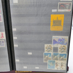 Lot massif de timbres de France oblitérés en 12 albums.