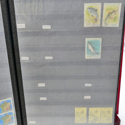 Lot massif de timbres de France oblitérés en 12 albums.