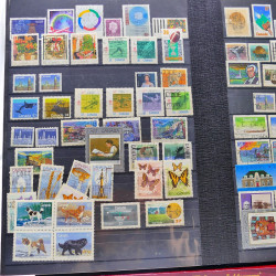 Lot massif de timbres de France oblitérés en 12 albums.