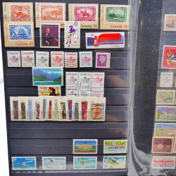 Lot massif de timbres de France oblitérés en 12 albums.
