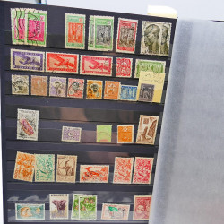 Lot massif de timbres de France oblitérés en 12 albums.