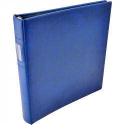 Reliure Lindner avec feuilles préimprimées France 1998-1999.