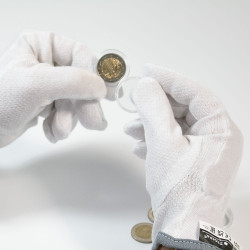 Gants numismatiques en coton avec points vinyle, taille 11.