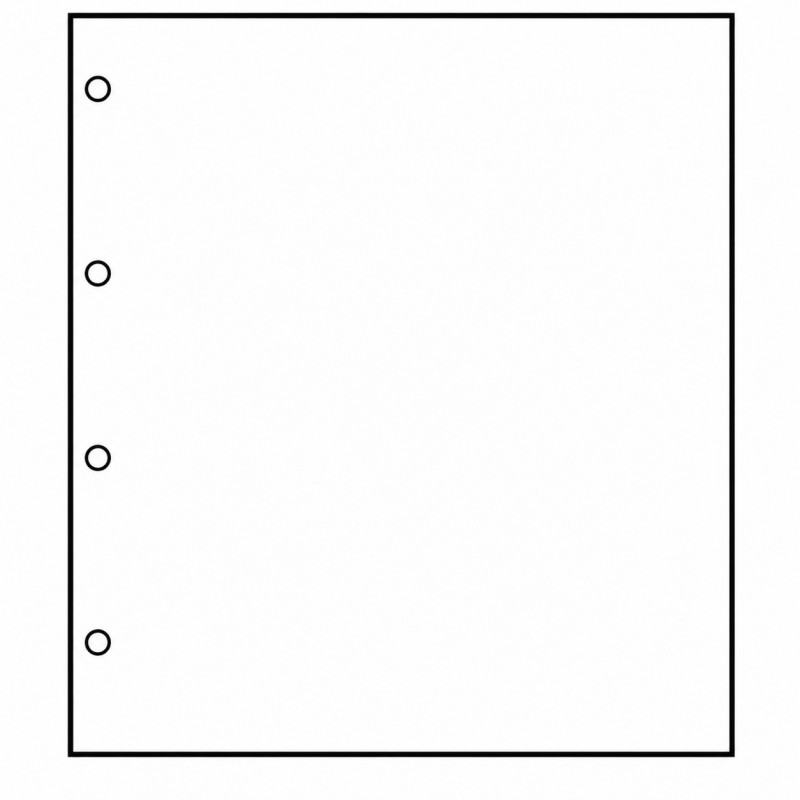 Feuilles neutres Safe blanc avec 4 perforations, format A4.