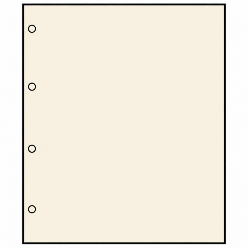 Feuilles en carton chamois avec 4 perforations pour albums compact A4 Safe.