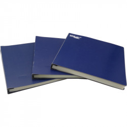 Lot de 3 classeurs Lindner pour 100 feuilles entières de timbres-poste 290 x 310 mm.