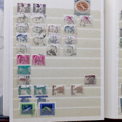 Lot de timbres France et Monde à trier en un carton en bois.
