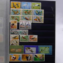 Lot de timbres France et Monde à trier en un boite.